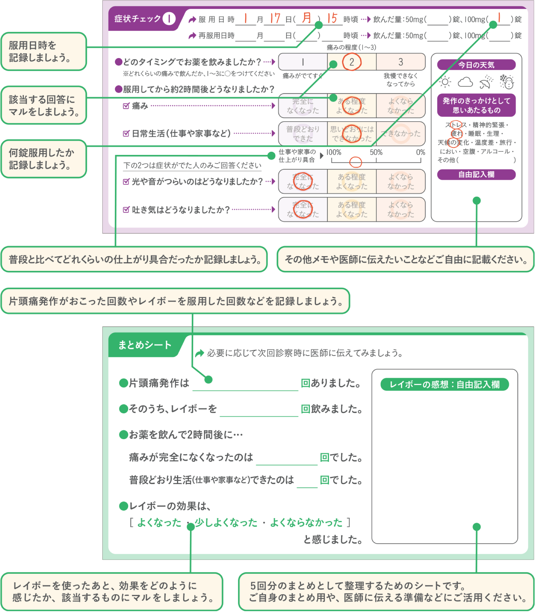 レイボーはじめてシートの使いかた